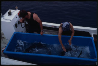 Two people standing next to fish crate