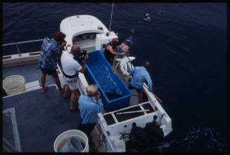 People filming two men with blue shark in hand net