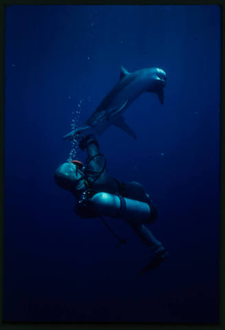 Wrist of a diver in mesh suit in the mouth of a blue shark