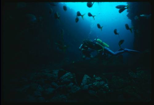 Valerie Taylor and nephew iwth a grey nurse shark