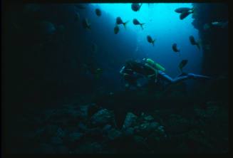 Valerie Taylor and nephew iwth a grey nurse shark