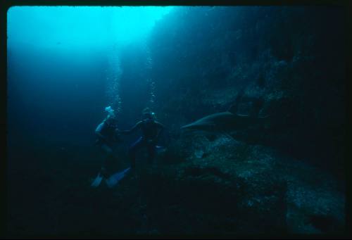 Valerie Taylor and nephew with a grey nurse shark