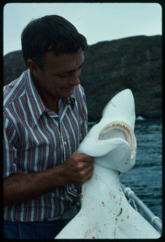 Ron Taylor holding up blue shark by neck