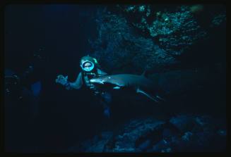 Valerie Taylor and another diver with a grey nurse shark