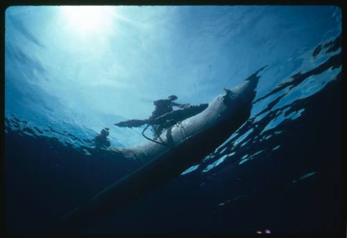 Hull of an outrigger canoe from below