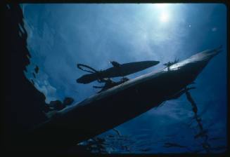 Hull of an outrigger canoe from below