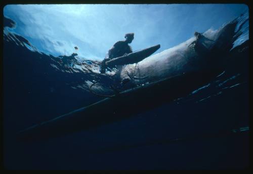 Hull of an outrigger canoe from below