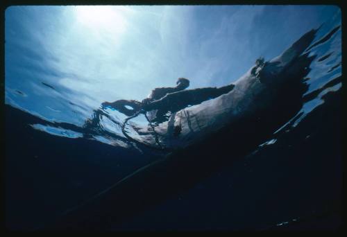 Hull of an outrigger canoe from below