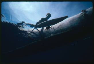 Hull of outrigger canoe from below