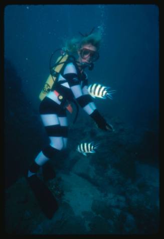 Valerie Taylor testing and disproving Walter Starck’s theory that mimicking a predator of sharks should deter them, by wearing a suit patterned like a banded sea snake.  