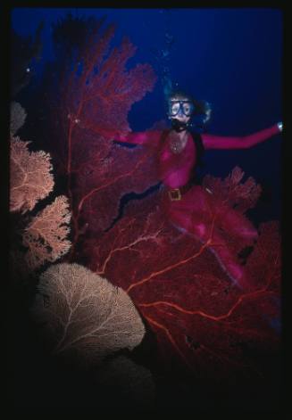 Valerie Taylor with sea fans