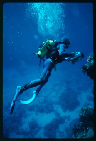 Diver with camera