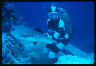 Valerie Taylor pushing away a Whitetip Reef Shark swimming close to her
