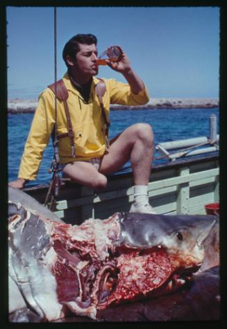 Diver and filmmaker Henri Bource sitting on the edge of a vessel with his foot resting on top of the carcass of a Great White Shark