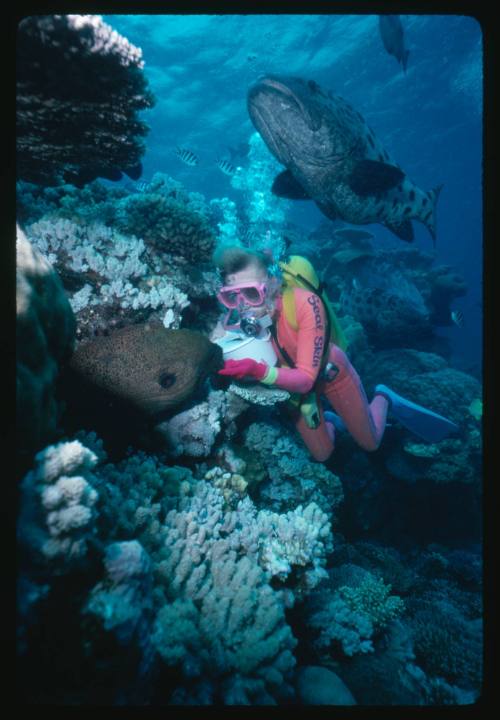 Valerie Taylor playing with a Moray Eel