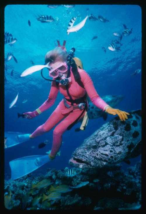 Valerie Taylor playing with a Potato Cod