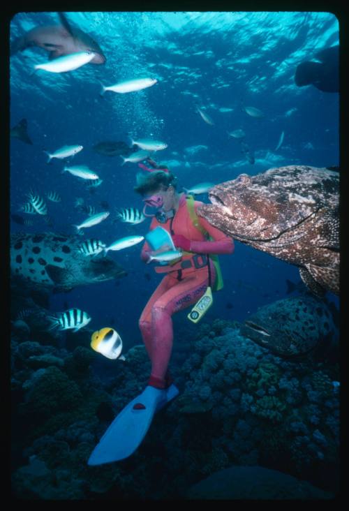 Valerie Taylor swimming with Potato Cod