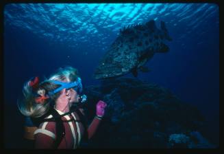 Valerie Taylor and a Potato Cod