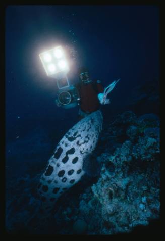 Ron Taylor with a Potato Cod