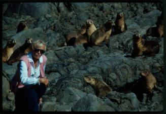Valerie Taylor sitting on a rocky surface with many sea lions