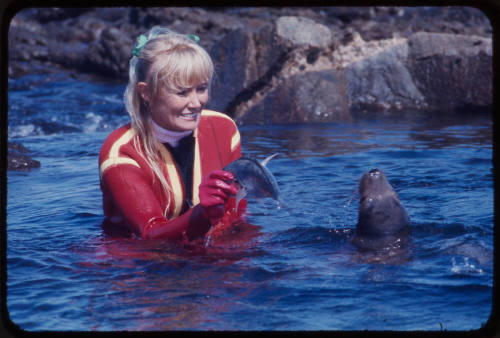 Valerie Taylor sitting in the water with a sea lion