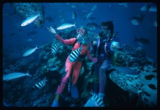 Valerie Taylor and another diver  amongst many fish including potato cods