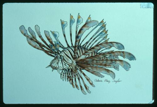Artwork of a lionfish