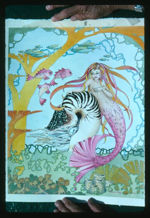 Artwork of a mermaid and nautilus