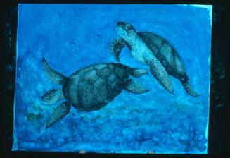 Artwork of two turtles