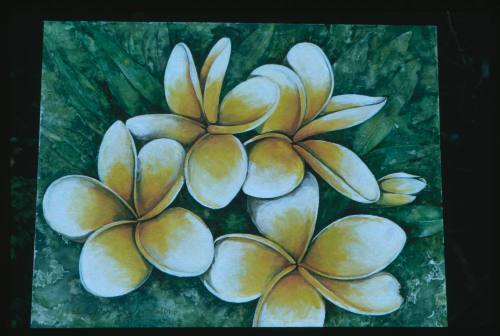 Artwork of five yellow and white frangipanis