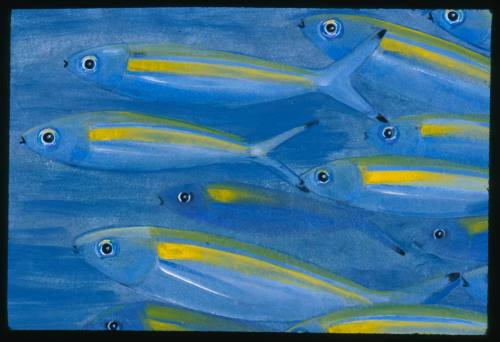 Artwork of many blue fish