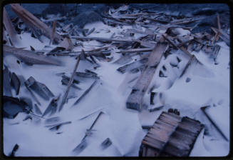 Wooden scraps on snow