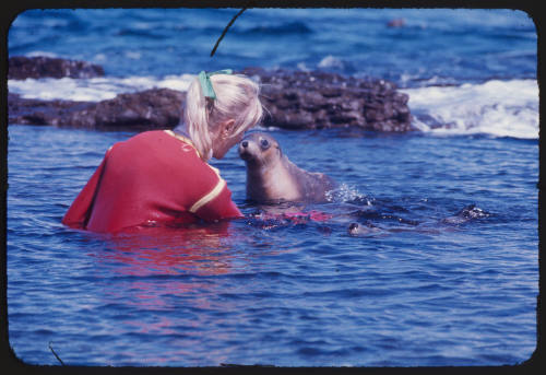 Valerie Taylor seated in water with two sea lions