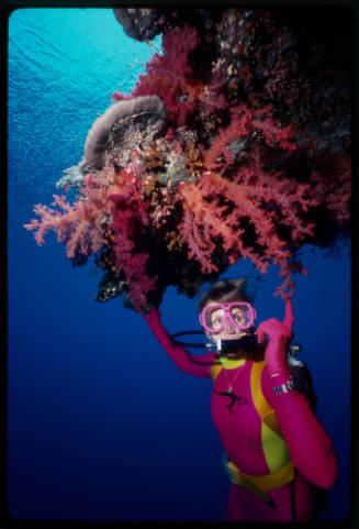 Valerie Taylor underwater touching coral