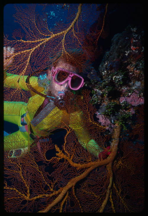 Valerie Taylor and sea fan corals