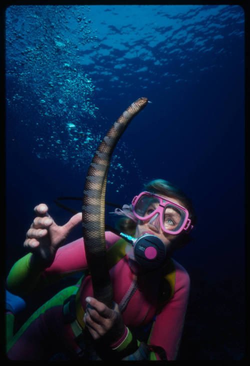 Valerie Taylor holding a venmous sea snake