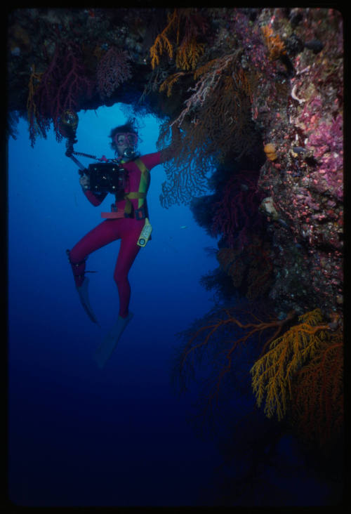 Valerie Taylor surrounded by corals