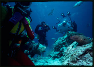 Three divers and Harry the giant moray eel