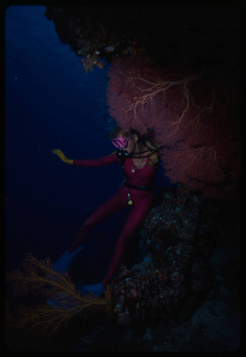 Valerie Taylor leaning on rock formation underwater