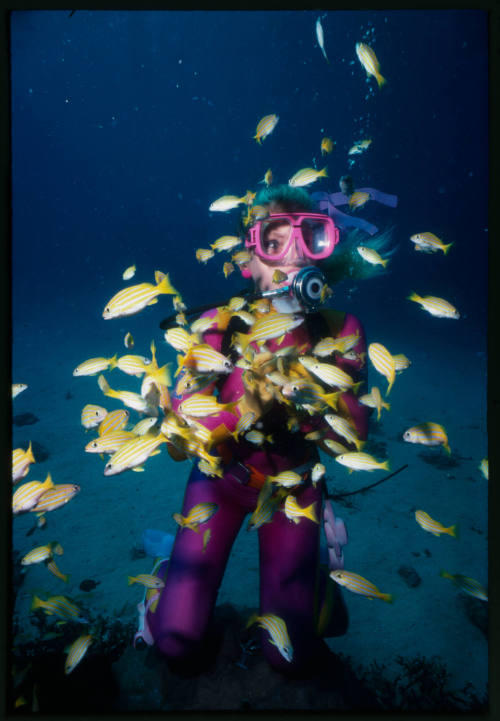 Valerie Taylor surrounded by school of yellow fish