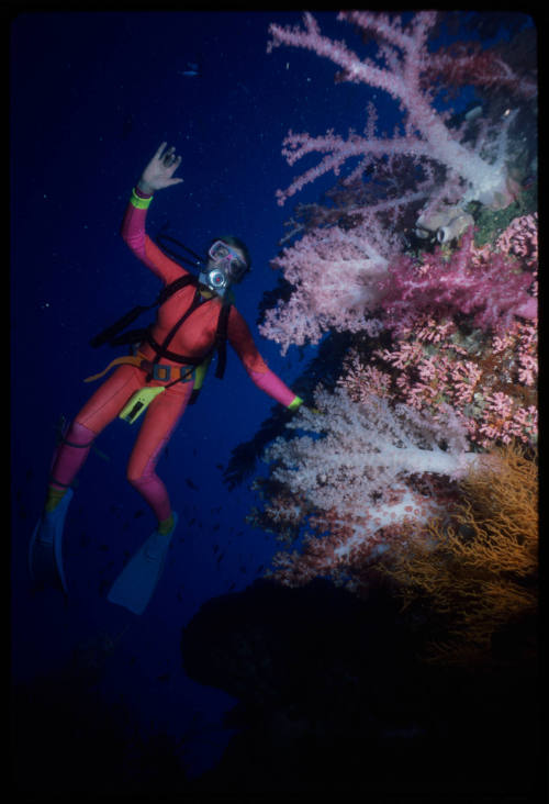 Valerie Taylor looking at corals underwater