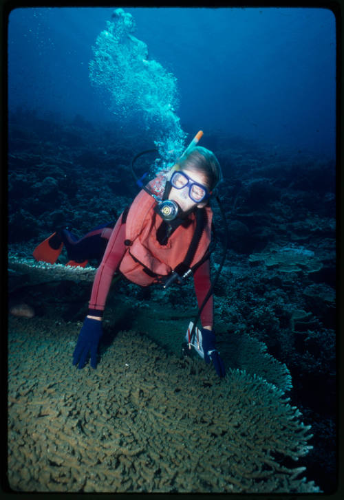 Valerie Taylor with hands on coral