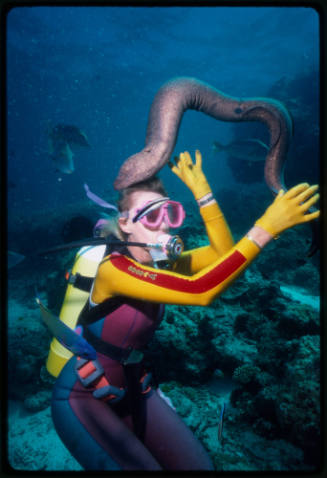 Valerie Taylor and Harry the moray eel