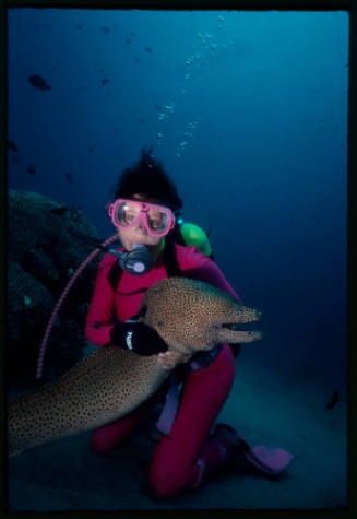 Diver near seafloor with giant moray eel