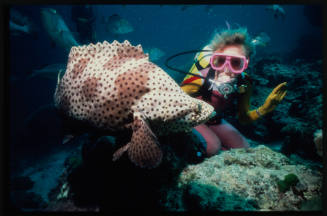 Valerie Taylor and large spotted fish