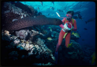 Valerie Taylor and a moray eel