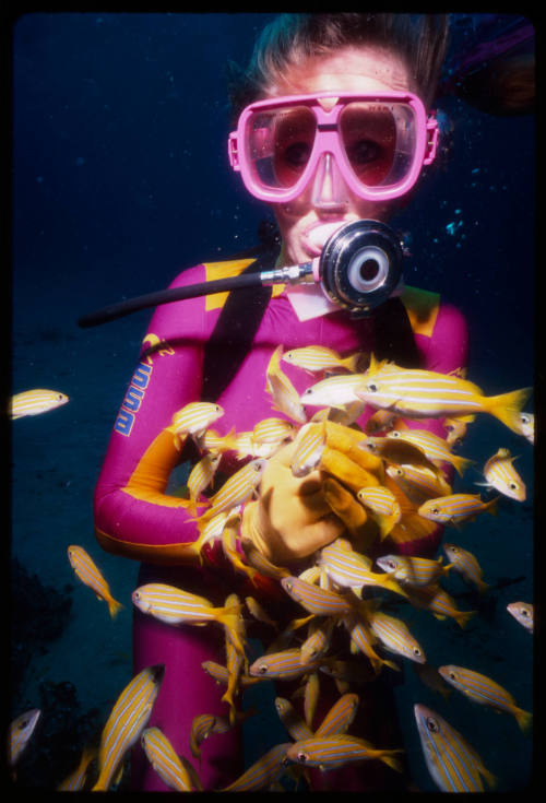 Valerie Taylor with many small yellow fish