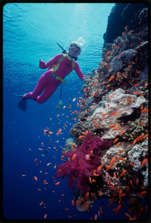 Valerie Taylor and surface covered in corals