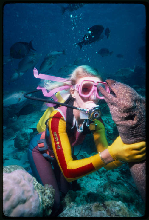 Valerie Taylor and Harry the moray eel