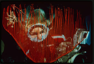 Valerie Taylor looking through red gorgonian coral